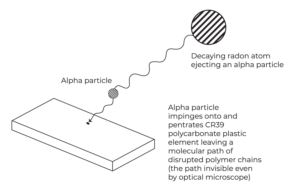 Parc Rgm Illustration1