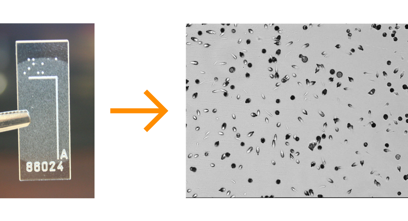 Multi Molucule