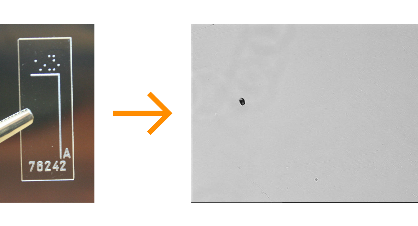 Single Molucule